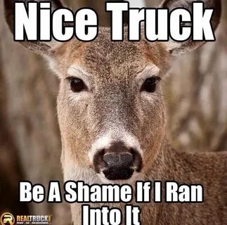 Related image Hunting quotes funny, Hunting humor, Deer meme