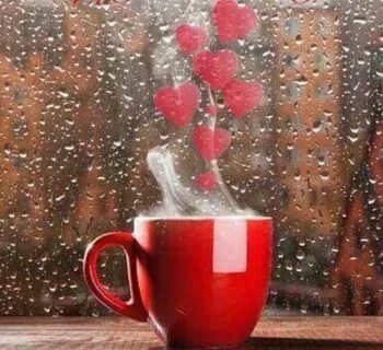 Pin by Oľga Kocúrová on Valentine things Good morning rainy 