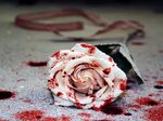Bloody Rose Wallpapers - Wallpaper Cave