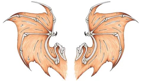 Bat Wings Tattoo Design - Weasyl