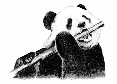 Panda Eating Bamboo Drawing at PaintingValley.com Explore co