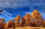Обои осень, небо, деревья картинки на рабочий стол, раздел п
