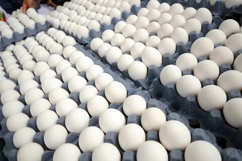 Un estudio liga el consumo diario de huevo a mayor mortalida