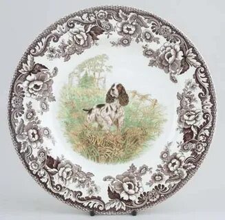 Spode Woodland brown with colour Plate Springer Spaniel Love