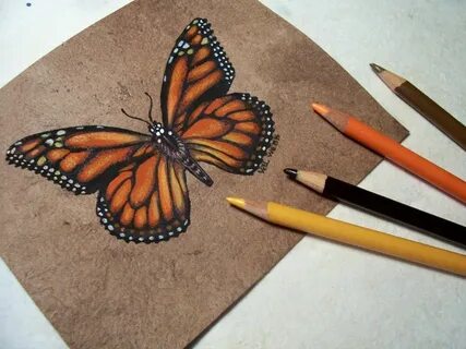 Cute Monarch Butterfly Drawing