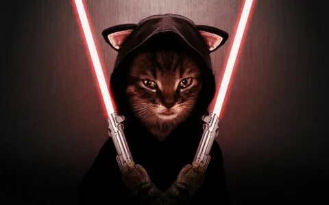 Le méchant chat Sith – Star Wars Politi