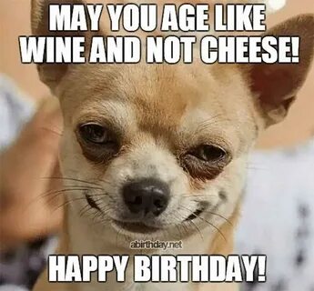90+ Hilarious Happy Birthday Wishes Memes For Everyone - Fun