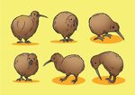 Libre Kiwi Bird Iconos Vector 135785 Vector en Vecteezy