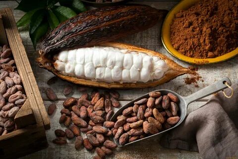 Какао-бобы: история, пищевая ценность и полезные свойства - 