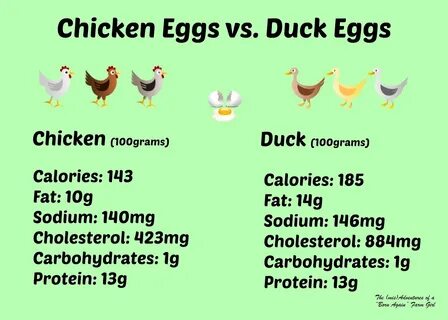 Chicken Eggs vs. Duck Eggs - The (mis)Adventures of a Homest