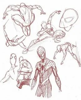 Spiderman drawing, Spiderman art, Sketches