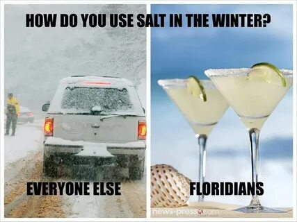 The 10 Best Florida Winter Memes - I Love South Florida Flor
