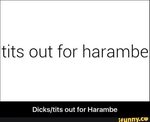 Tits out for harambe Dicks/tits out for Harambe - Dicks/tits