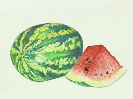 Watermelon Still Life Wall Art Colored Pencilby Commission A