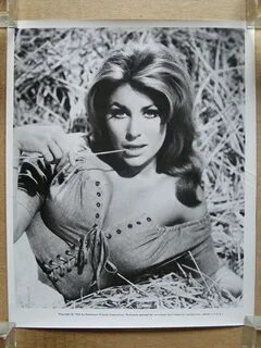 Michele Carey in El Dorado (1967) Michele carey, Carey, Faye
