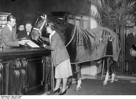File:Bundesarchiv Bild 102-12441, Boston, Pferd in Hotelhall