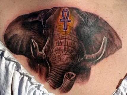 Wild Tattoos: Elephant tattoo Ideas