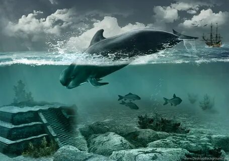 Moby Dick Wallpapers Desktop Background