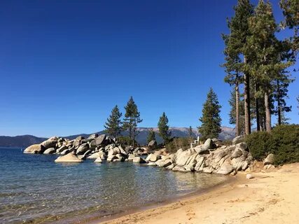 Forest on a Beach landscape in Lake Tahoe, Nevada image - Fr