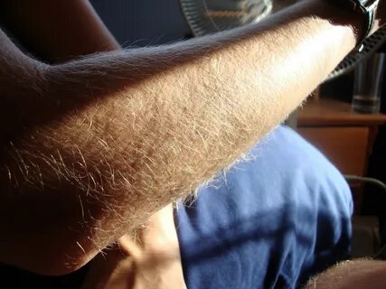 Hairy arms thread - /hr/ - High Resolution - 4archive.org