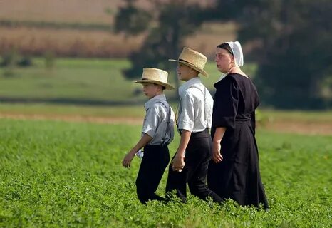 Unusual Facts About the Amish You Need to Know Page 34 of 35
