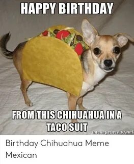 🐣 25+ Best Memes About Birthday Chihuahua Birthday Chihuahua