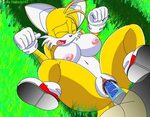Read Doom / Nobody147 Sonic and Tails Series (Sonic The Hedg
