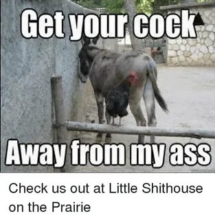 Get Your Cock Away From My Ass Check Us Out at Little Shitho