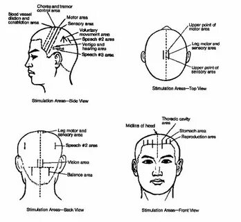 Synopsis of Scalp Acupuncture Acupuncture, Acupuncture point