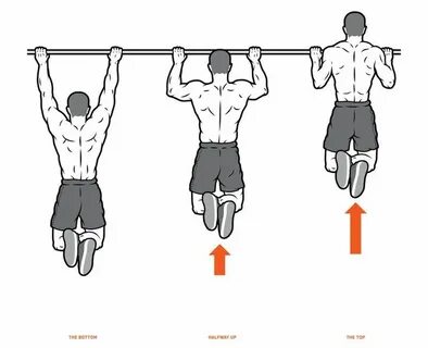 Your Ultimate Guide To Pullups Pull ups, Pull up bar, Upper 