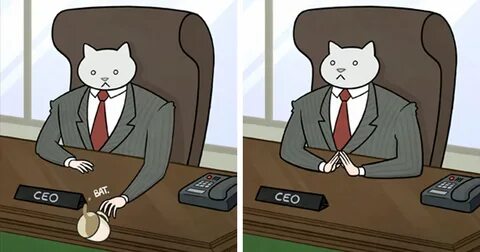 How Your Office Would Look If Your Boss Was A Cat Bored Pand