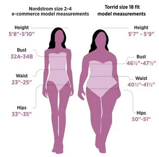 average dress size. 