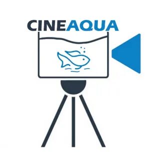 CineAqua - YouTube