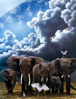 Elephants and white heron Elephant world, Elephant painting,