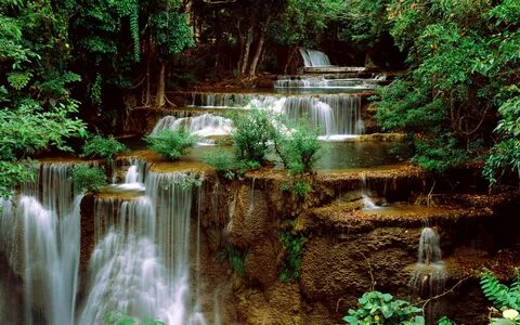 обои : водопад, сад, природа, Размышления, Река, Пруд, Джунг