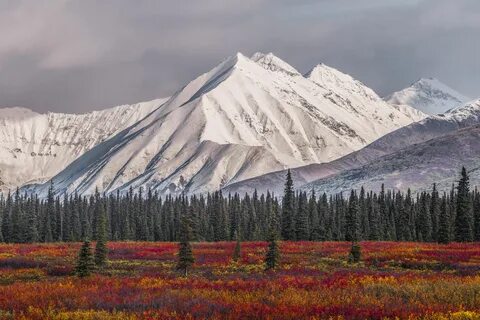 denali fall and winter - Denali mountains in the snow in the