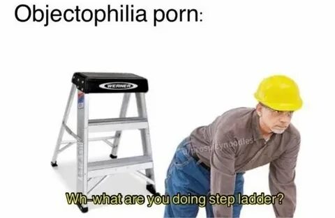 What Are You Doing Step Ladder Meme - MEMEREST