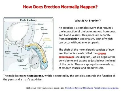 Erectile Dysfunction (ED): Symptoms, - Search � shay Gay Por