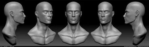 Male Head Sculpt - all out crits - polycount