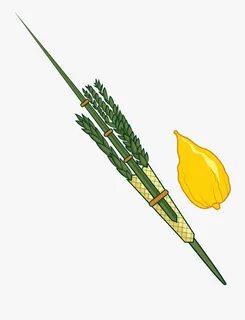 Clipart Lulav And Etrog , Free Transparent Clipart - Clipart