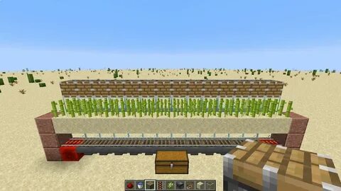 Minecraft: как сделать автоматическую ферму сахарного тростн