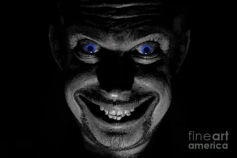 Blue eyed demon Photograph by Guy Viner Pixels