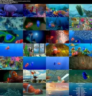 Buscando a Nemo (2003) Dvdrip Latino Putlocker - Identi