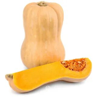 Butternut pumpkin. Organic Waltham Butternut Winter Squash. 