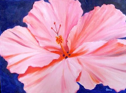 Carmen Beecher: Pink Hibiscus, 18x24 Original Oil Painting o