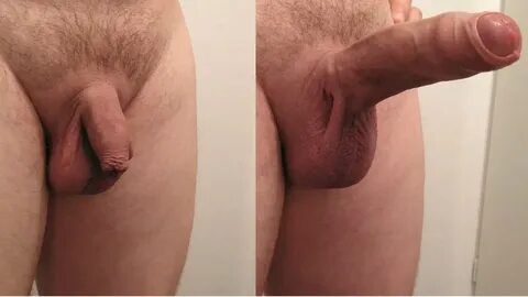 Soft To Hard Cock