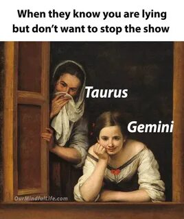 55+ Funny Gemini Memes - Funny Memes