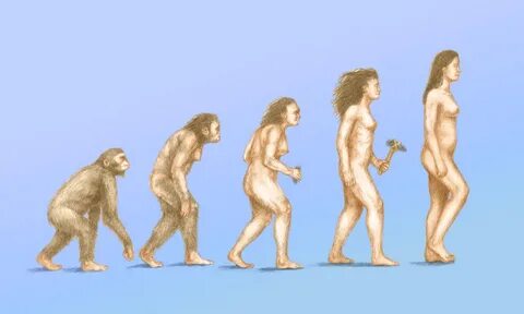Human Evolution Poster Print by Spencer Sutton/Science Sourc