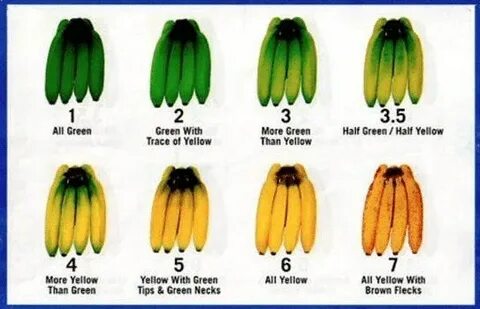 Gallery of how ripe should bananas be before they are eaten 