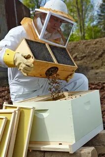 5 Steps to Start a Beehive in Your Backyard Starting a beehi